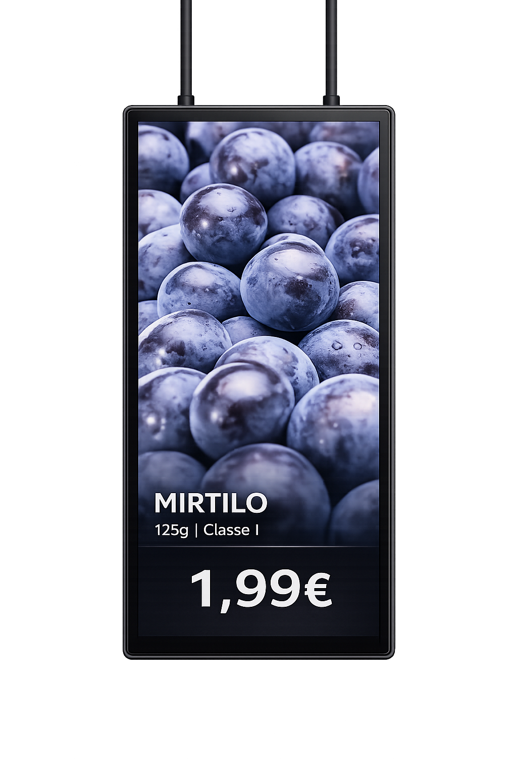 ESL Digital Signage ZKS101D-B: Moldura Preta - Double